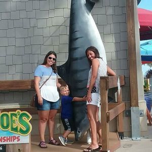 Meet your Posher, Mitzi